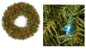 National Tree Company 36" Norwood Fir Wreath with 100 Multi Lights